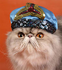 Кот-визирь. Басня Олеси Емельяновой