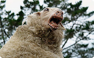 Паршивая овца. Басня Олеси Емельяновой