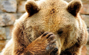 Несчастный медведь. Басня Олеси Емельяновой
