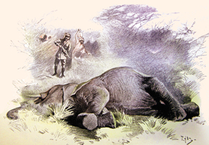 Слон и дробина. Басня Олеси Емельяновой