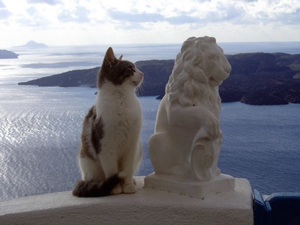 Кошка и статуя льва. Басня Олеси Емельяновой про хвастовство.
