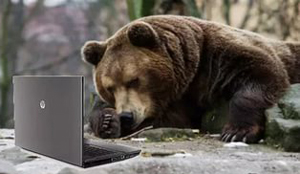 Олеся Емельянова. Медведь и ноутбук. Басня про про интернет и силовое решение проблем.