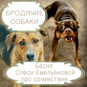 Олеся Емельянова. Бродячие собаки. Басня про жалость, доброту и сочувствие. Современные басни и притчи в стихах.