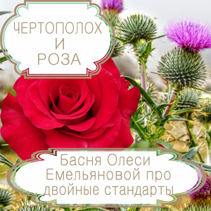 Чертополох и роза – басня в стихах Олеси Емельяновой про двойные стандарты. Читать басни современных авторов.