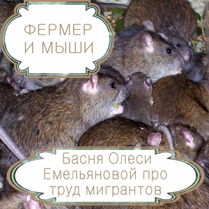 Фермер и мыши – басня в стихах Олеси Емельяновой про мигрантов. Читать басни современных авторов.